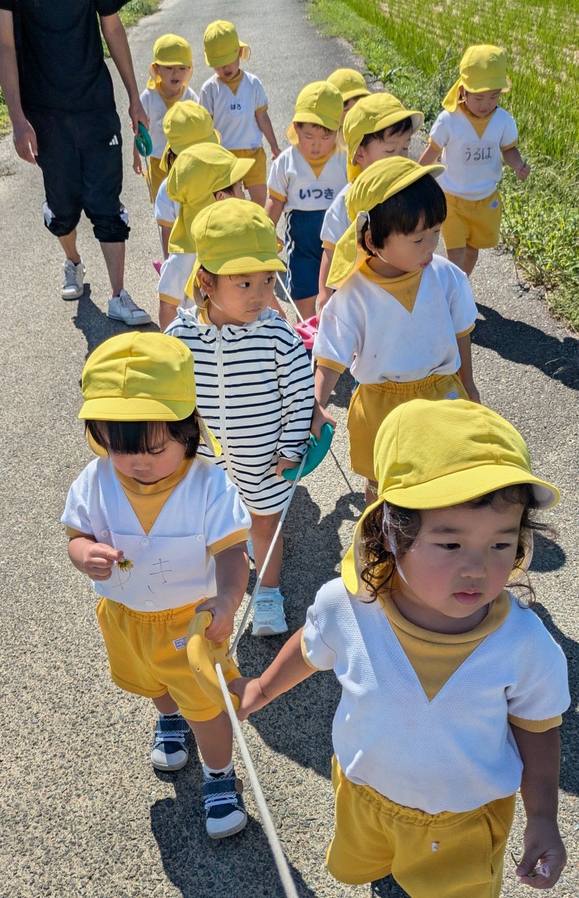 お散歩