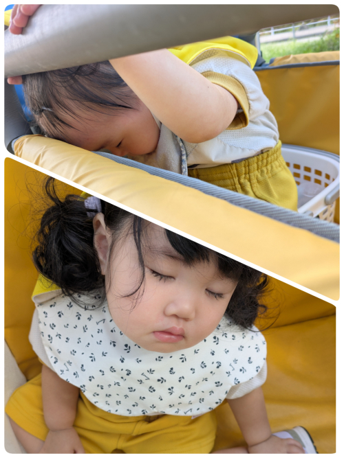 お散歩🐥
