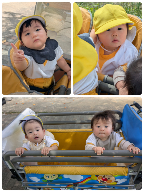 お散歩🐥