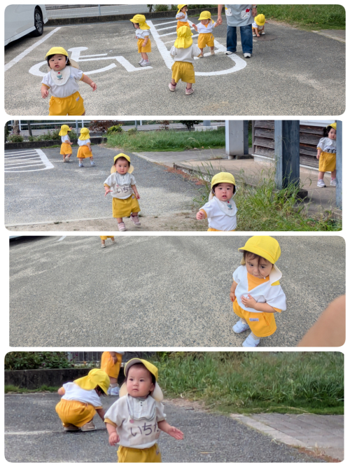 今日もお散歩🐥