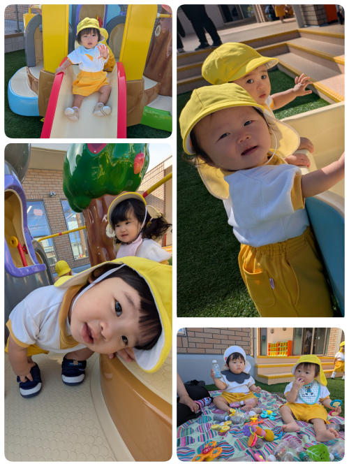 英語レッスンと戸外遊び🐥