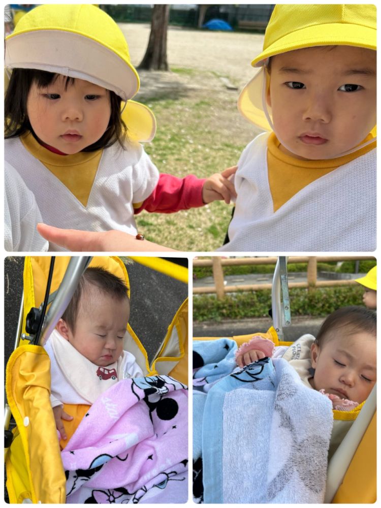 みんなでお散歩へ行きました😊😊