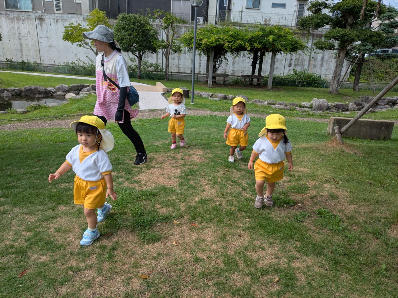ゆめのたね9月15日(火)