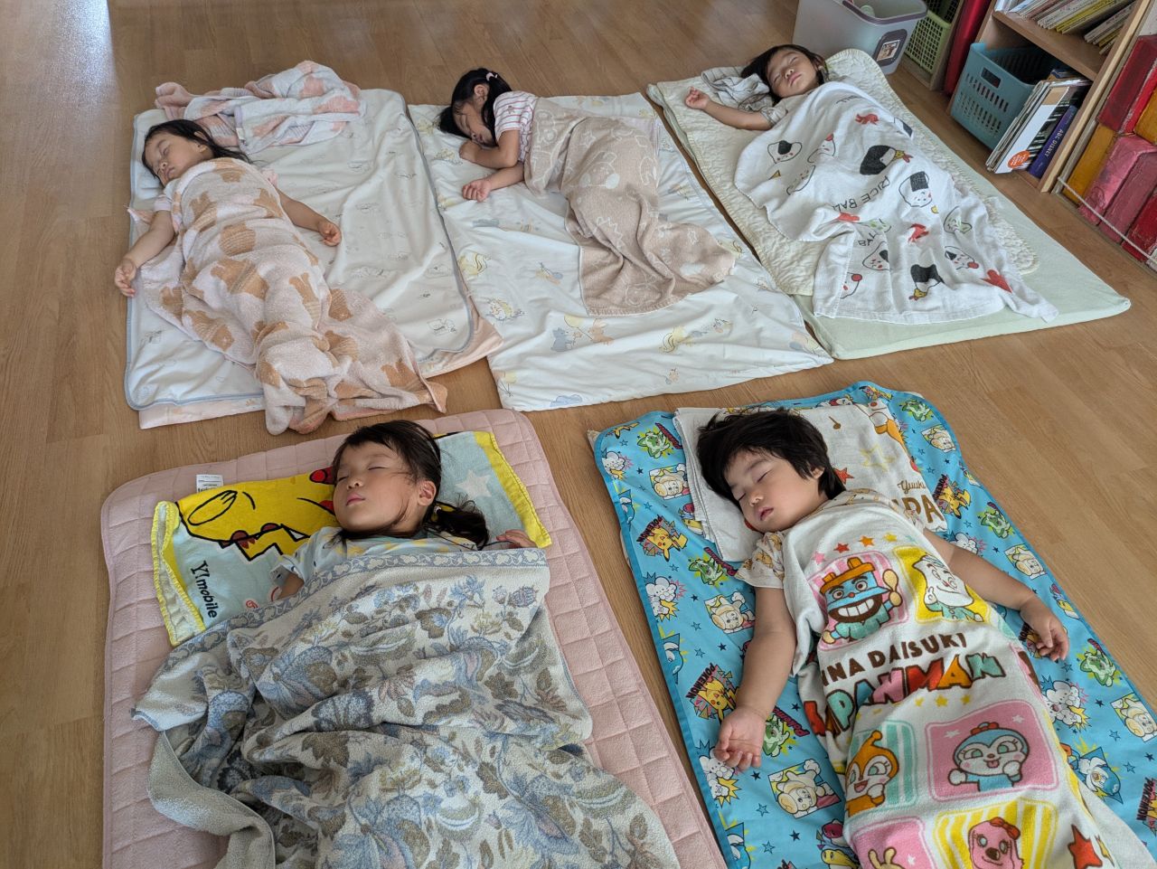 ゆめのたね10月19日(月)